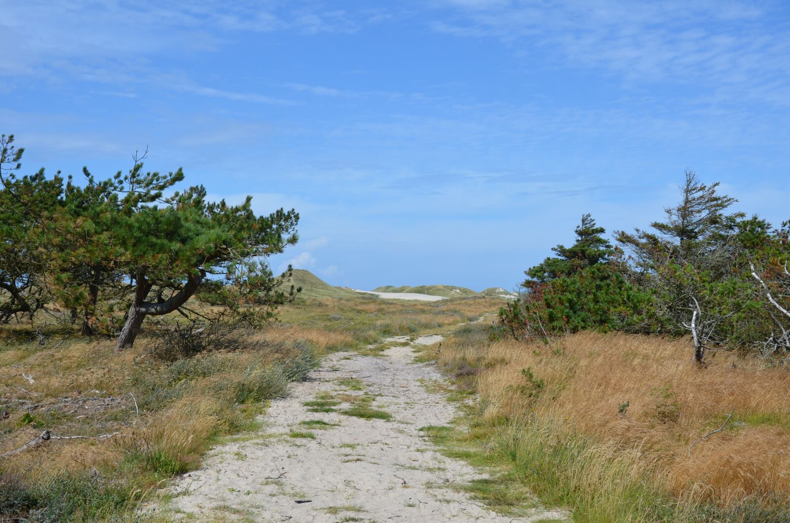 Nikon D5100 sample photo. Denmark, west jutland, husby photography