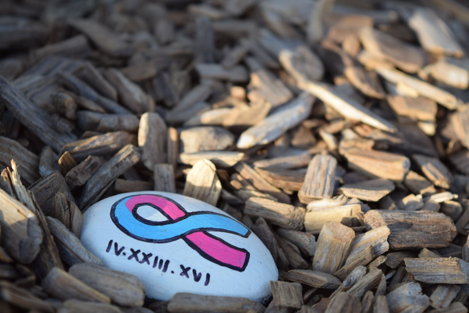 Nikon D3300 sample photo. Painted, rock, mulch photography