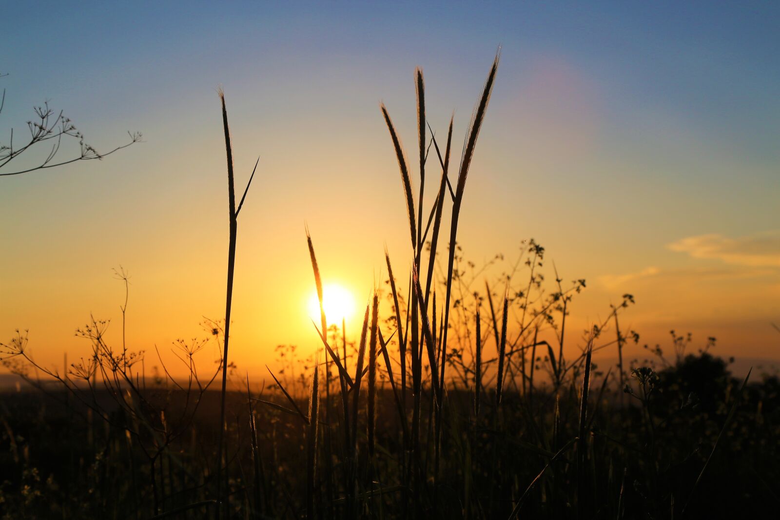 Canon EF 24-105mm F4L IS USM sample photo. Sunset, in the evening photography