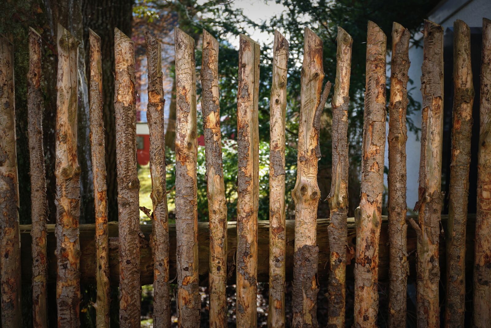 Sony a6000 sample photo. Fence, wood, boards photography