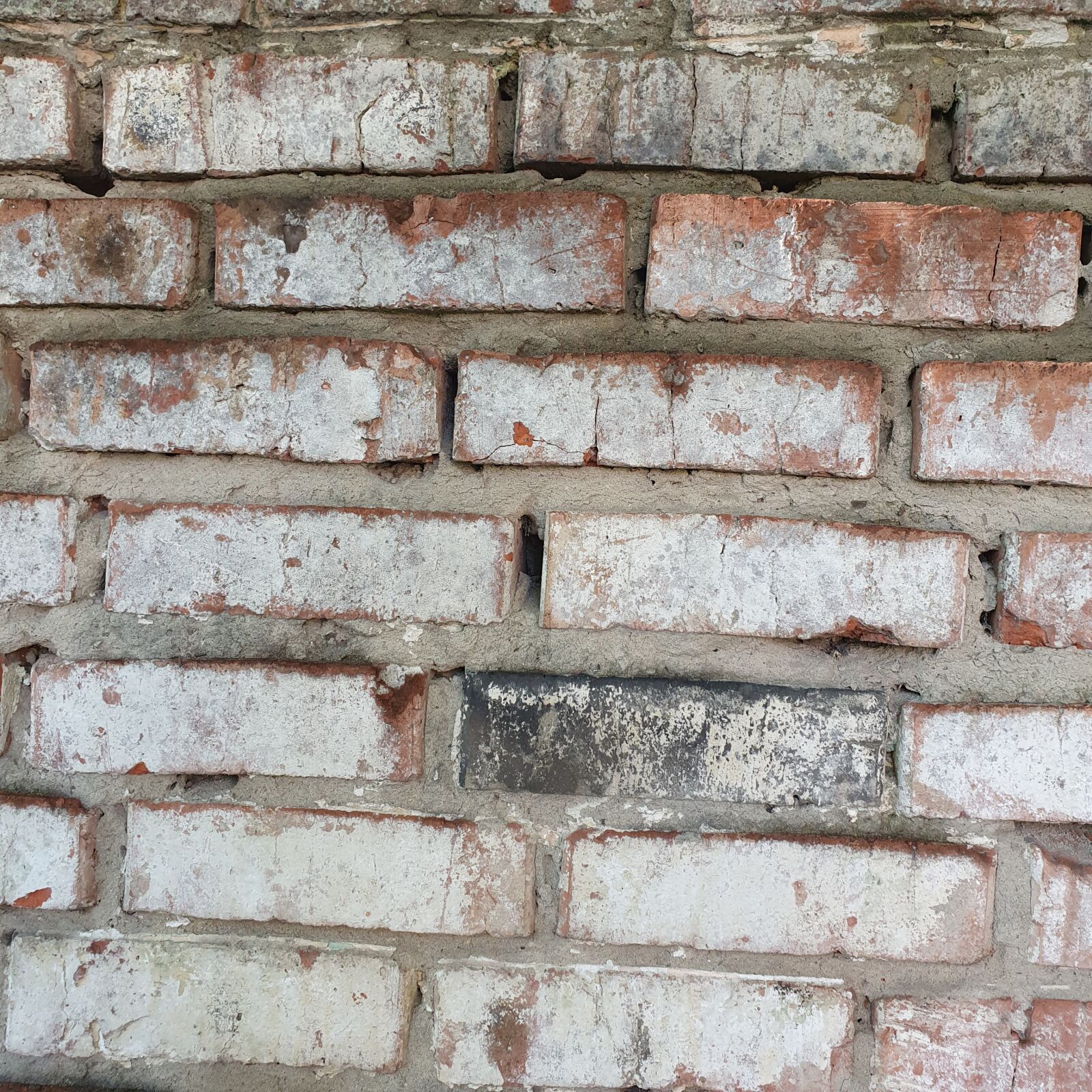 Samsung Galaxy S10 sample photo. Wall, brick, red photography