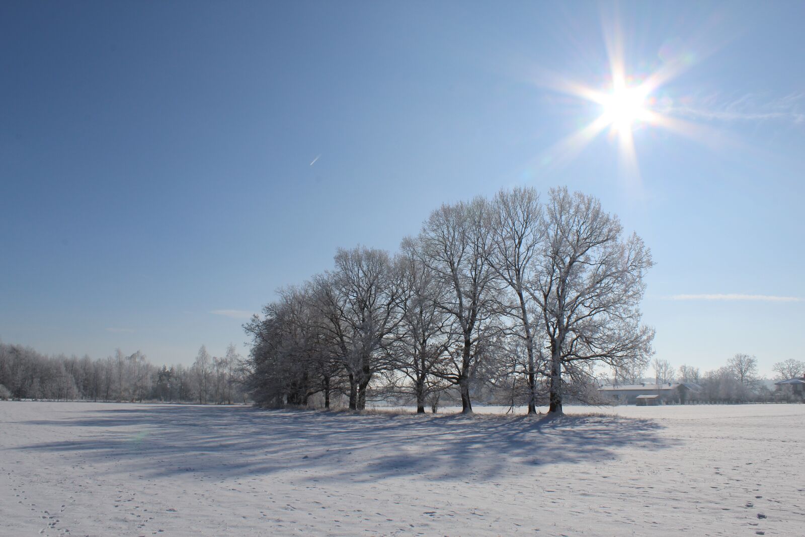 Canon EOS 1300D (EOS Rebel T6 / EOS Kiss X80) sample photo. Winter, sun, blue photography