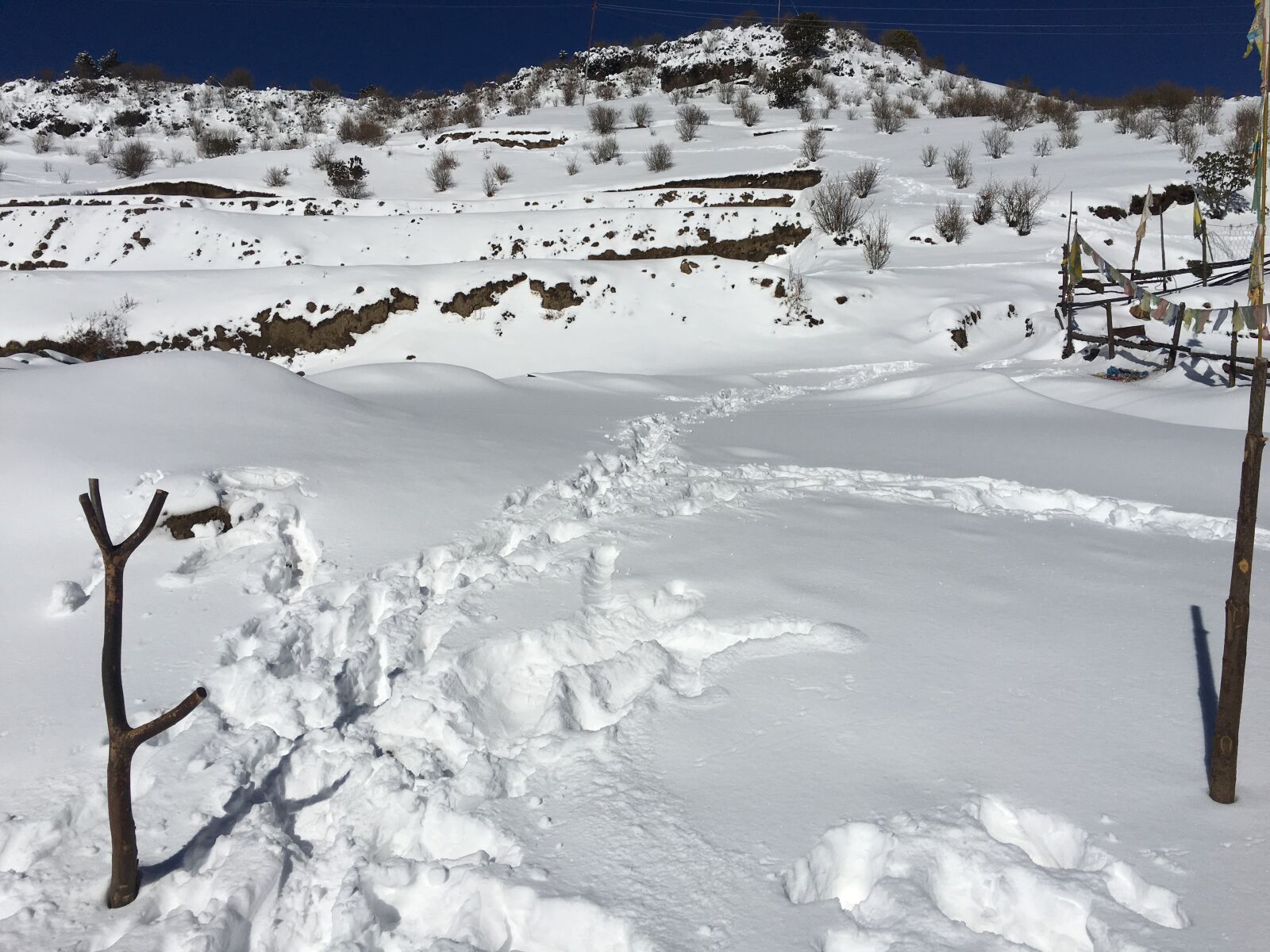 iPhone 6s Plus back camera 4.15mm f/2.2 sample photo. Snow, nepal, mountain photography