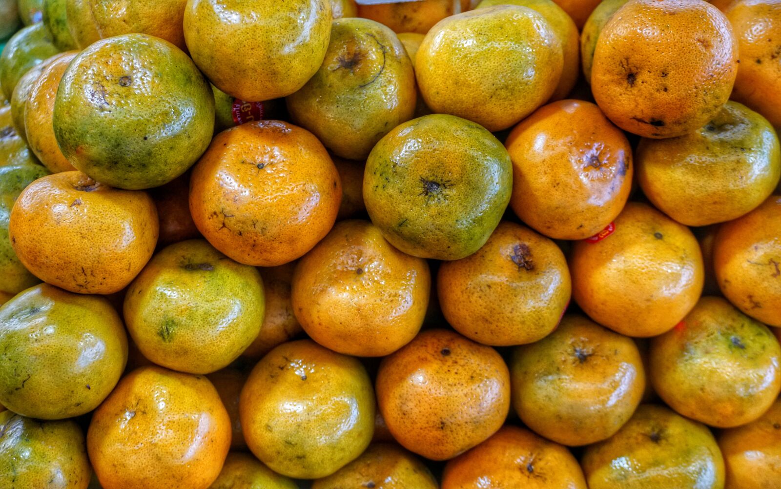 Sony a6300 sample photo. Thai honey queen orange photography