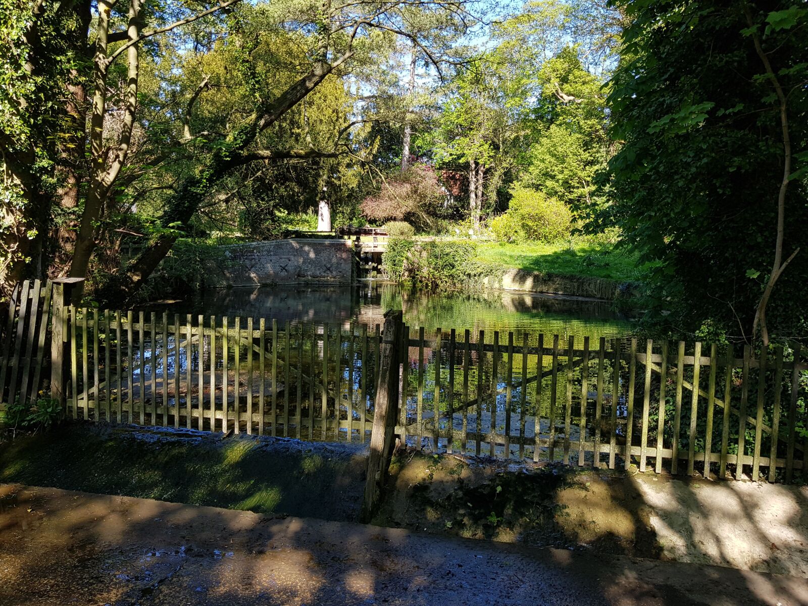 Samsung Galaxy S8 sample photo. River, countryside, trees photography