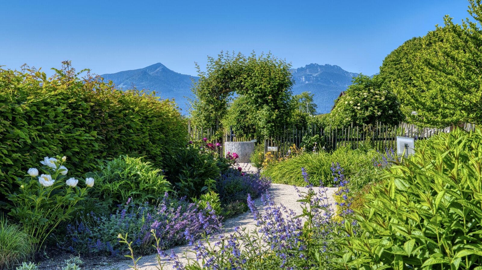 Nikon D7500 sample photo. Garden, green, nature photography