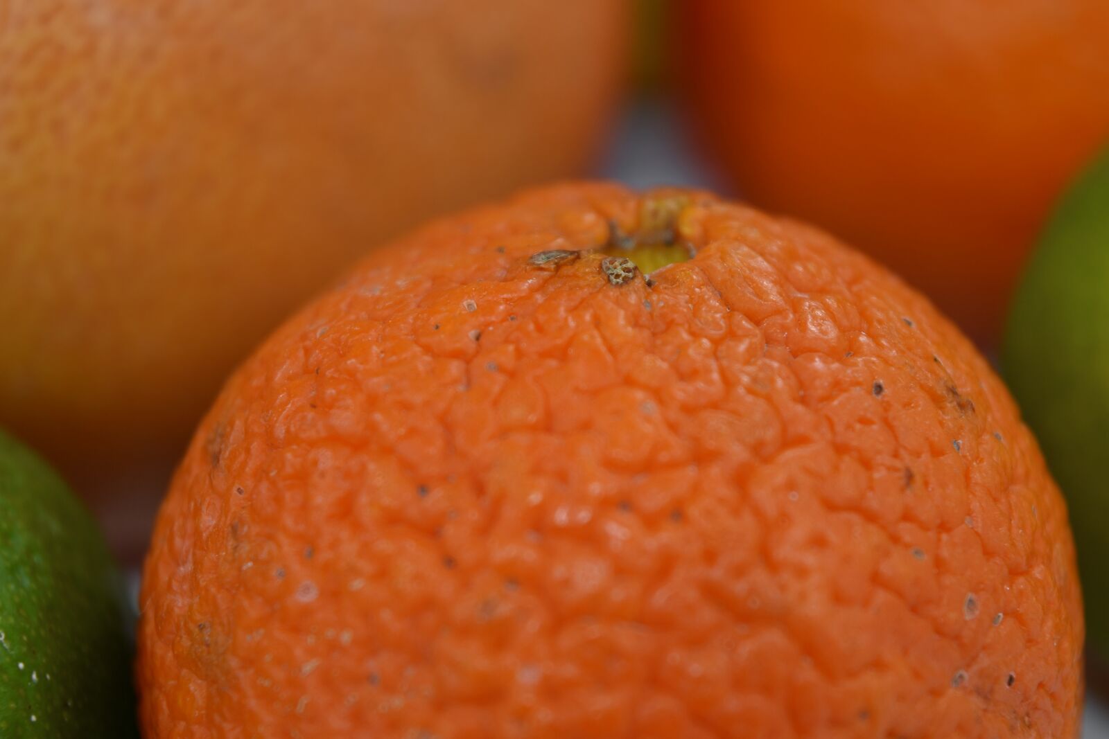 Nikon D5500 sample photo. Close-up, tangerine, juice, citrus photography