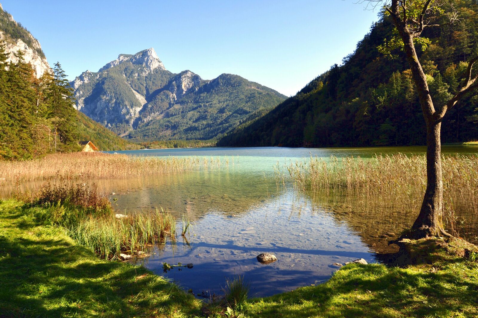 Nikon D90 sample photo. Lake, nature, landscape photography