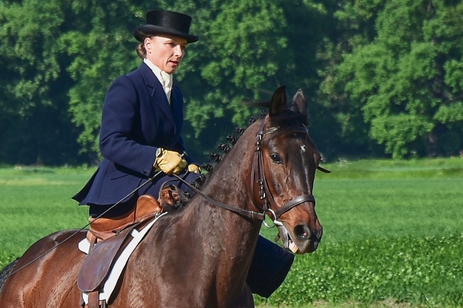 Nikon D5500 sample photo. Horse, lady, woman photography