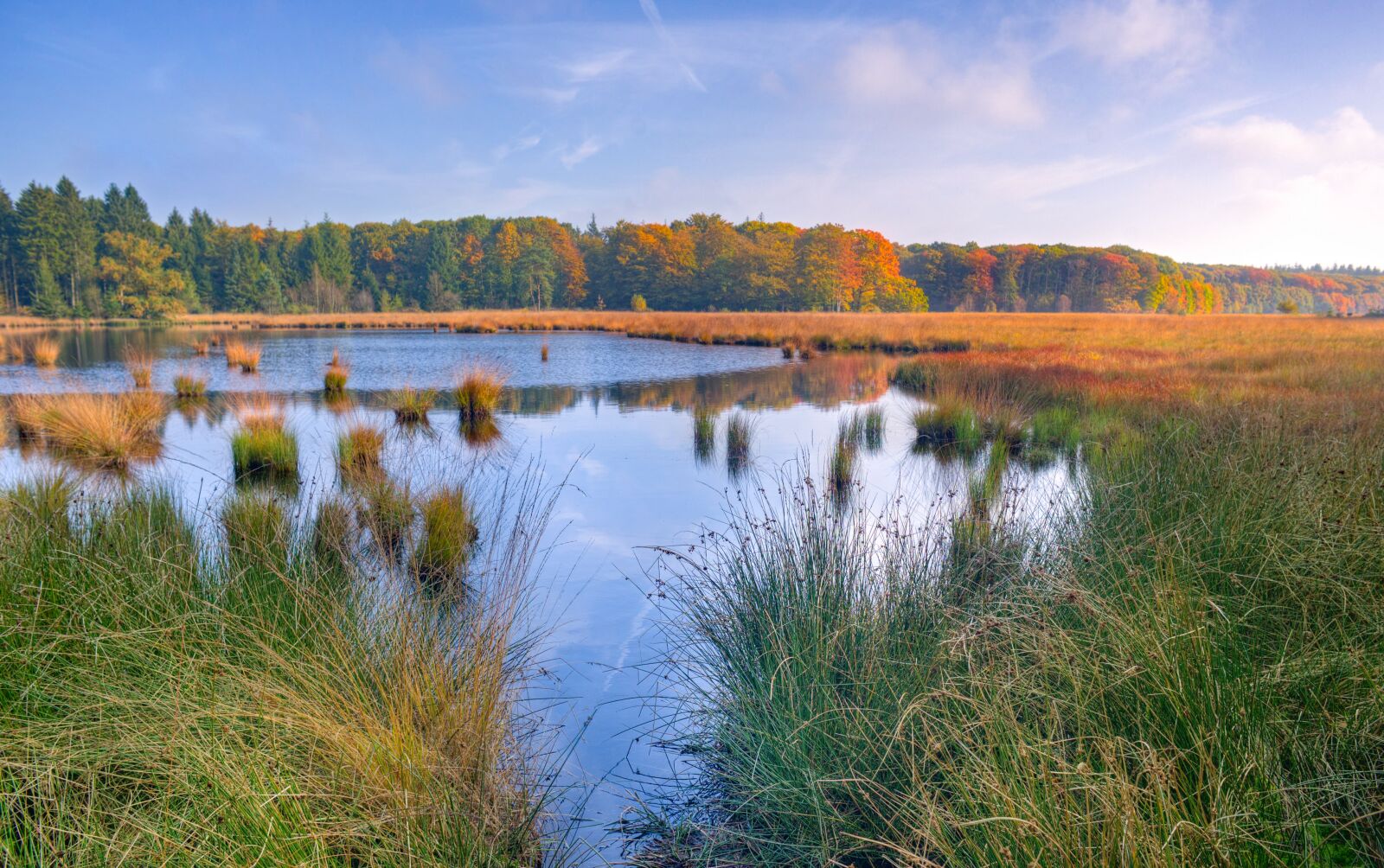 Nikon D610 sample photo. Lake, trees, autumn photography