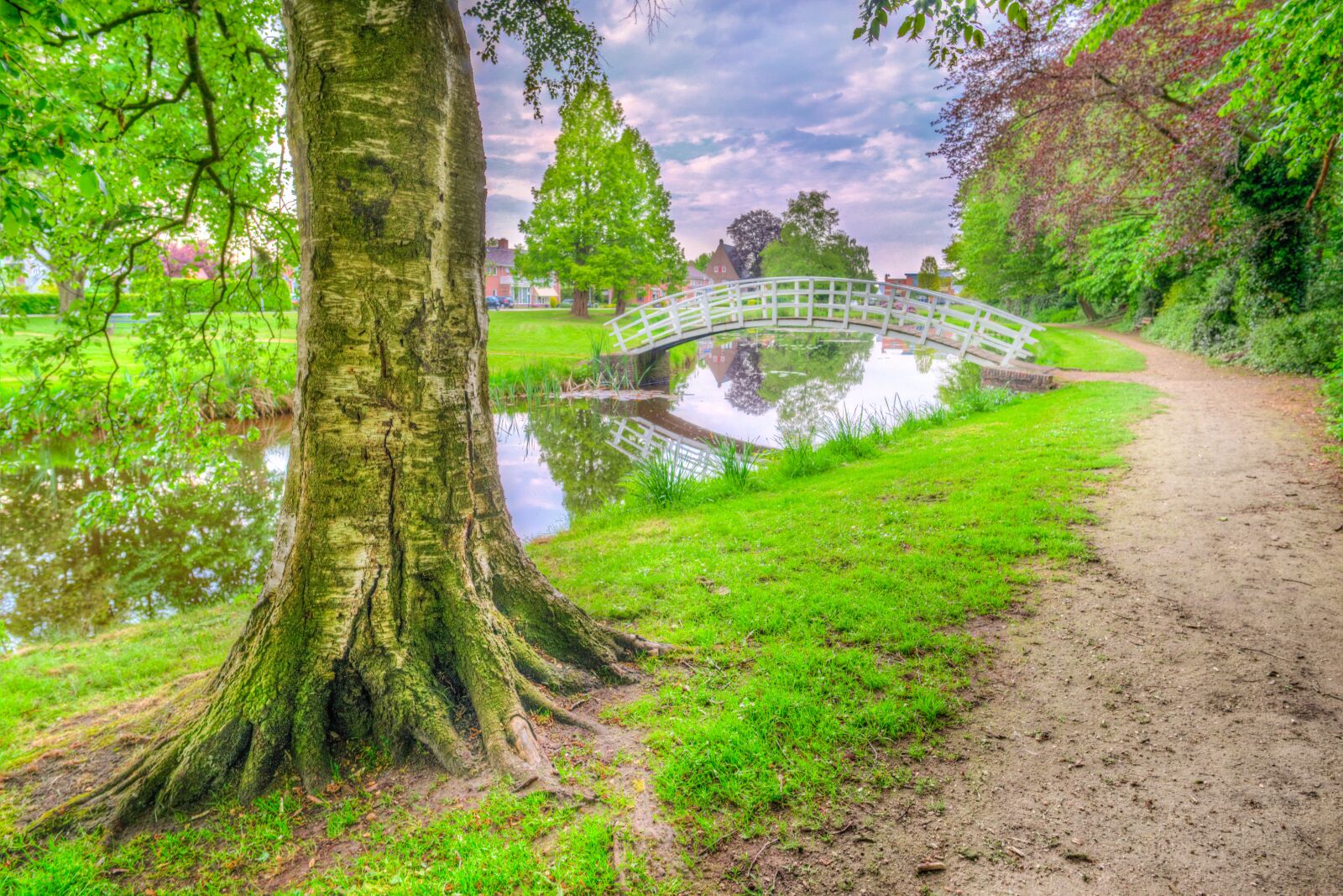 Nikon D610 sample photo. Park, bridge, reflection photography