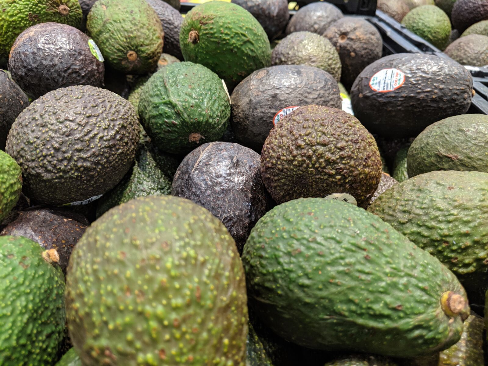 Google Pixel 3 XL sample photo. Avocado, grocery, food photography