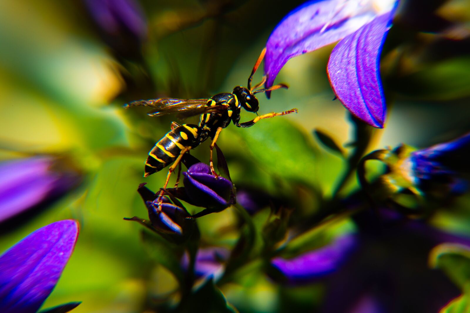 Nikon D850 sample photo. Spring, pollen, yellow photography