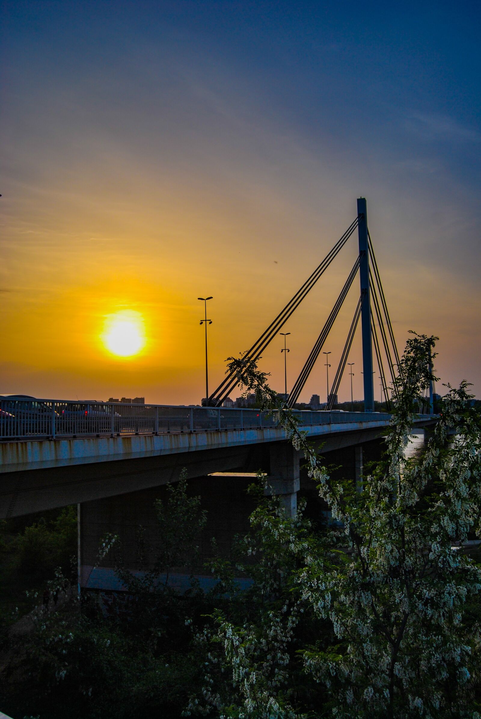 Nikon D60 sample photo. Sun, bridge, sunlight photography