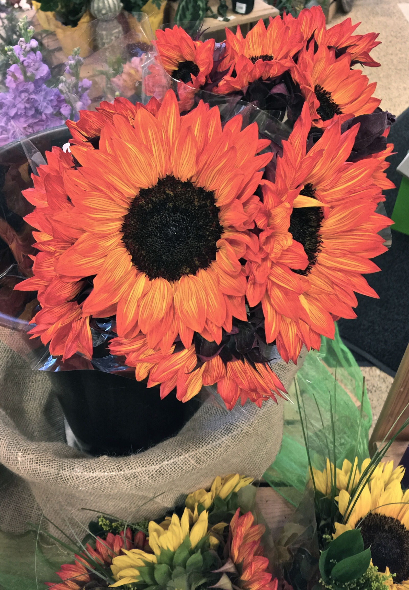iPhone 6 Plus back camera 4.15mm f/2.2 sample photo. Bunch, of, flowers, flower photography