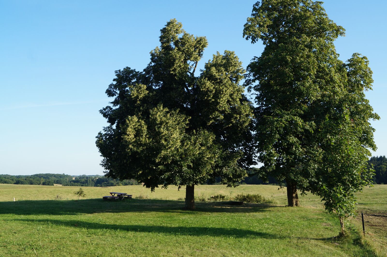 Sony SLT-A57 sample photo. Landscape, pasture, meadow photography