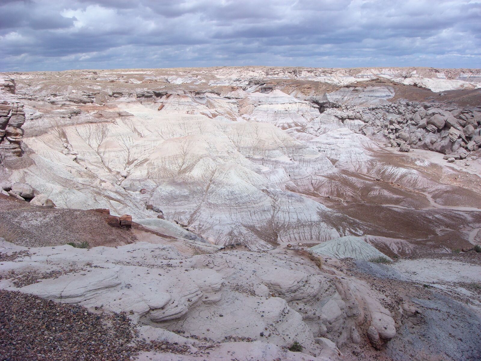 Sony DSC-T100 sample photo. Petrified forest national park photography