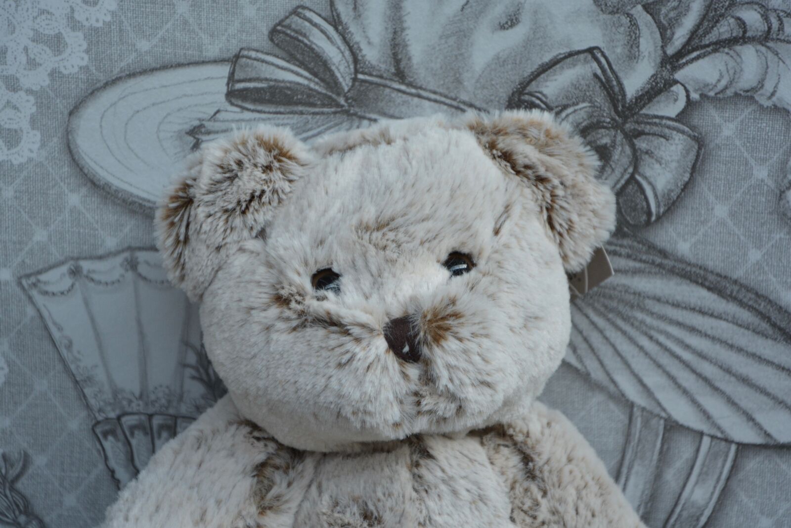 Nikon D5200 sample photo. Bear plush, head, doudou photography