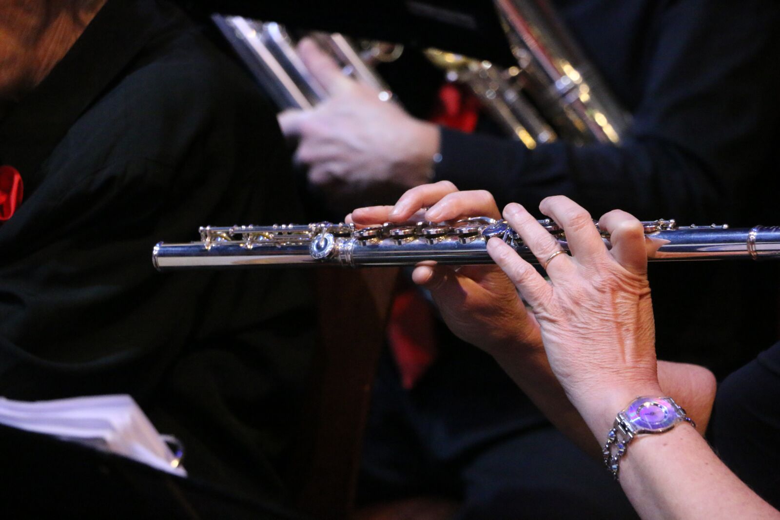 Canon EOS 70D sample photo. Musical instrument, orchestra, music photography