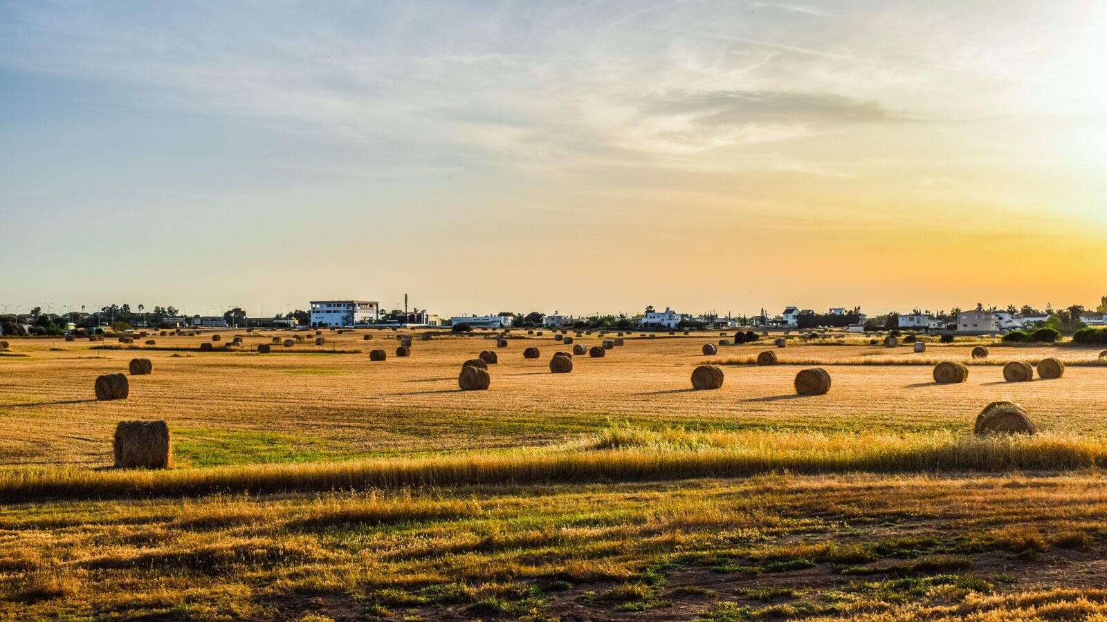 Nikon D3300 sample photo. Field, landscape, agriculture photography