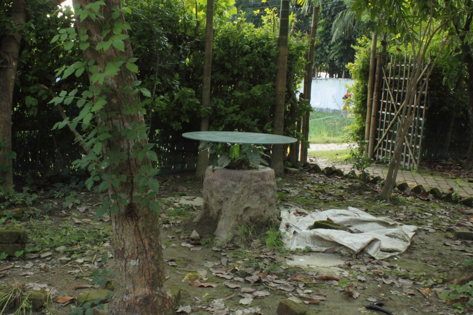 Canon EOS 500D (EOS Rebel T1i / EOS Kiss X3) sample photo. Bangladesh, canal, fisherman, nature photography