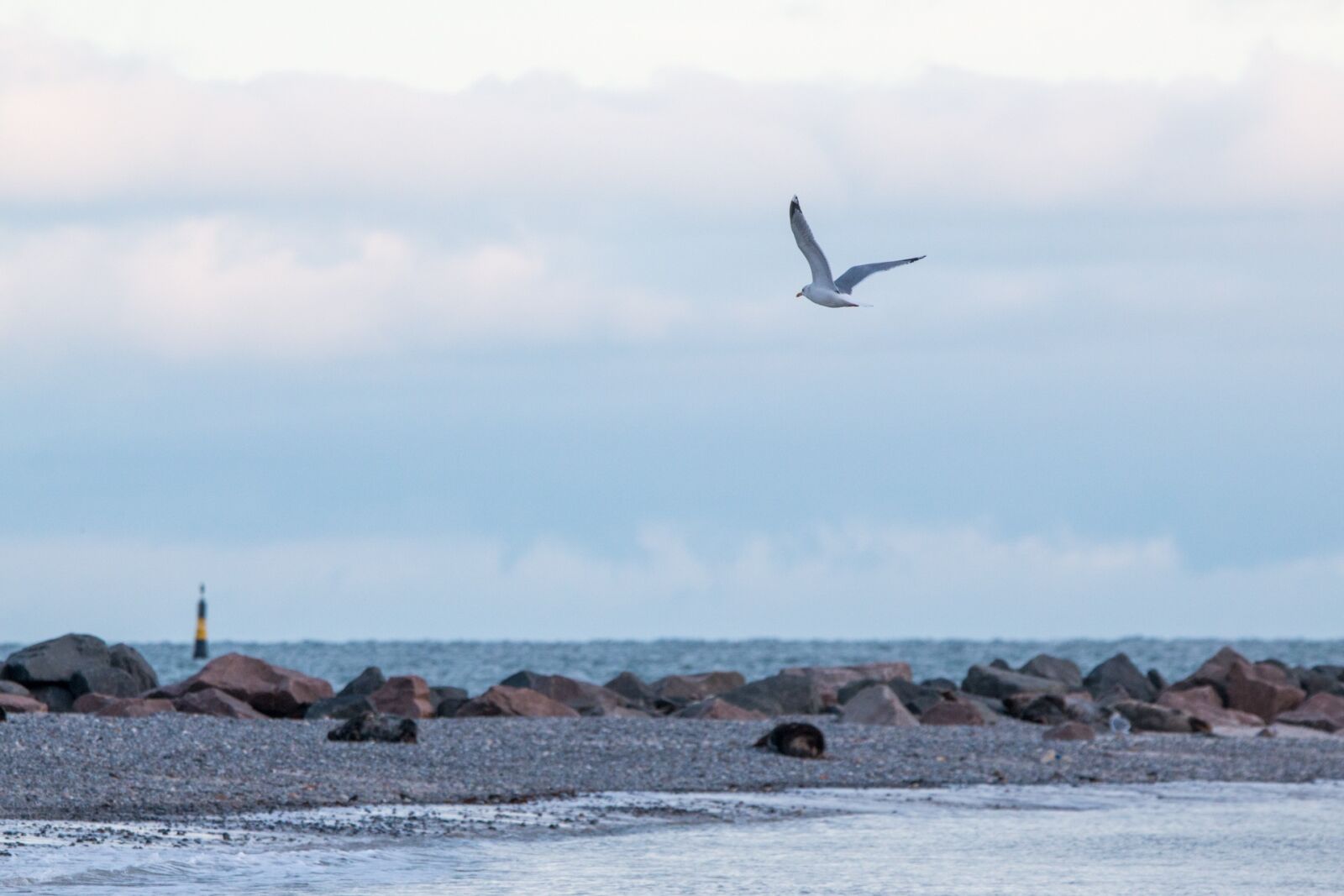 150-600mm F5-6.3 DG OS HSM | Contemporary 015 sample photo. Helgoland, waters, sea photography
