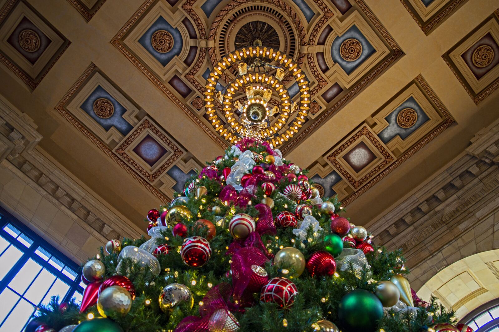 Nikon D3200 sample photo. Christmas tree, tall christmas photography