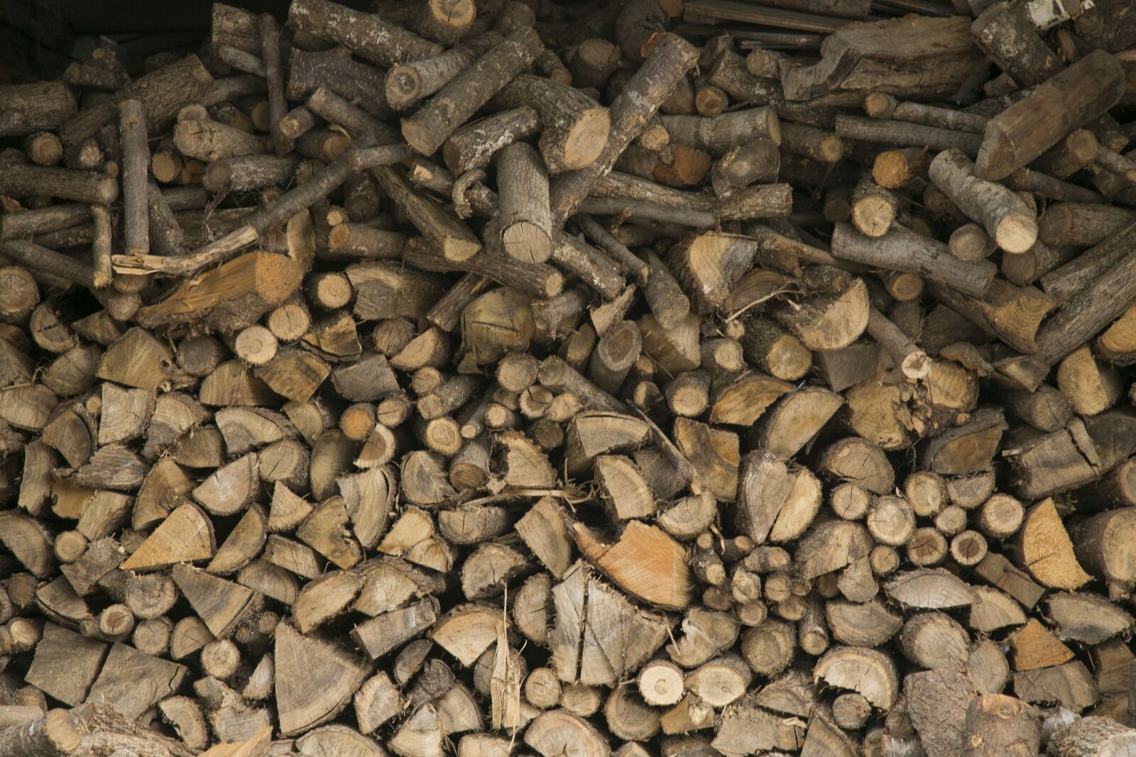 Canon EF 24-105mm F4L IS USM sample photo. Wood, firewood, brown photography