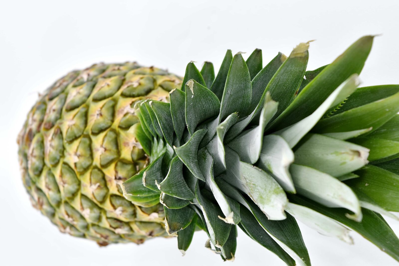 Nikon D5500 sample photo. Antioxidant, close-up, exotic, food photography