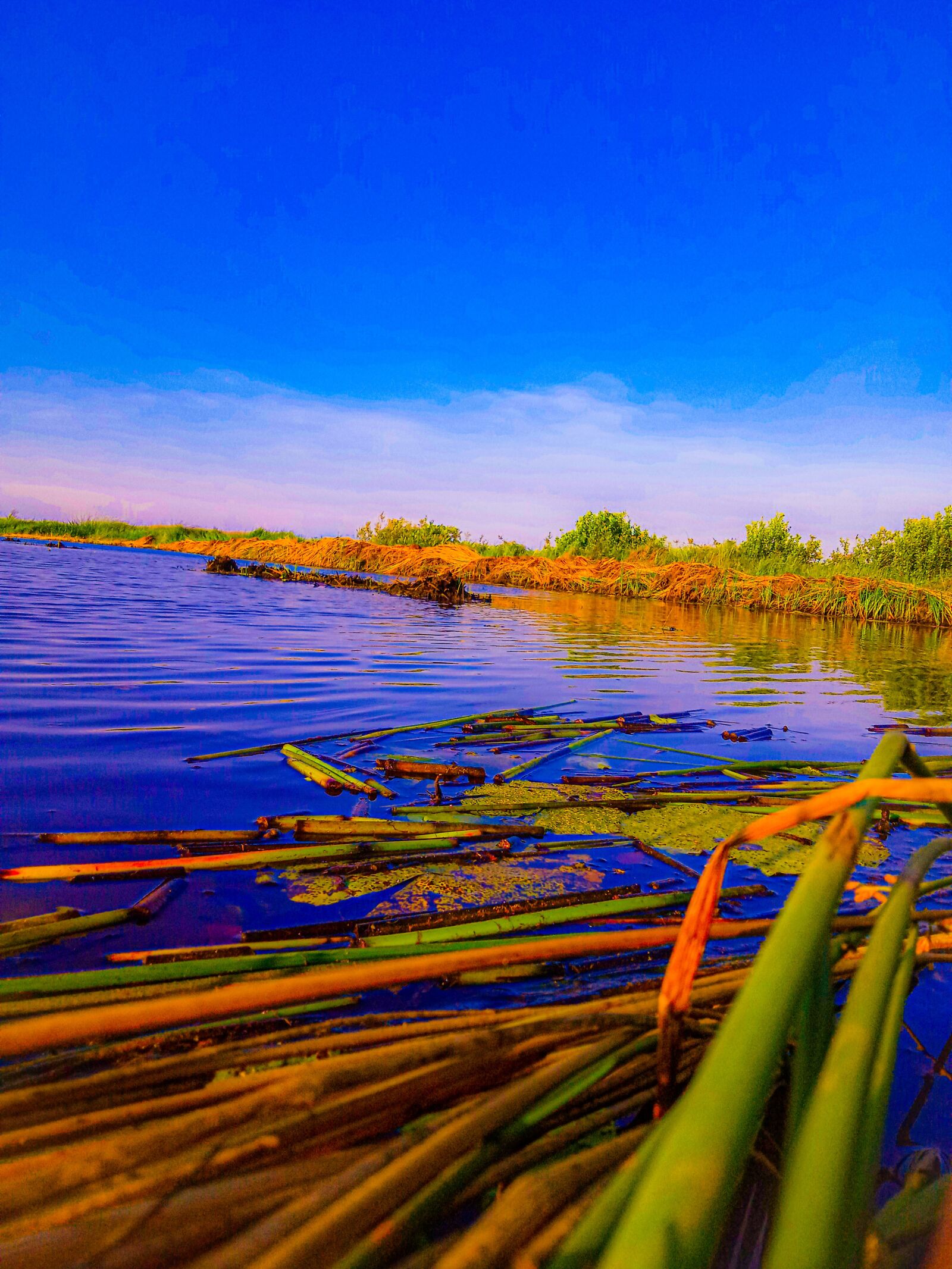 Realme C2 sample photo. View, in, river photography