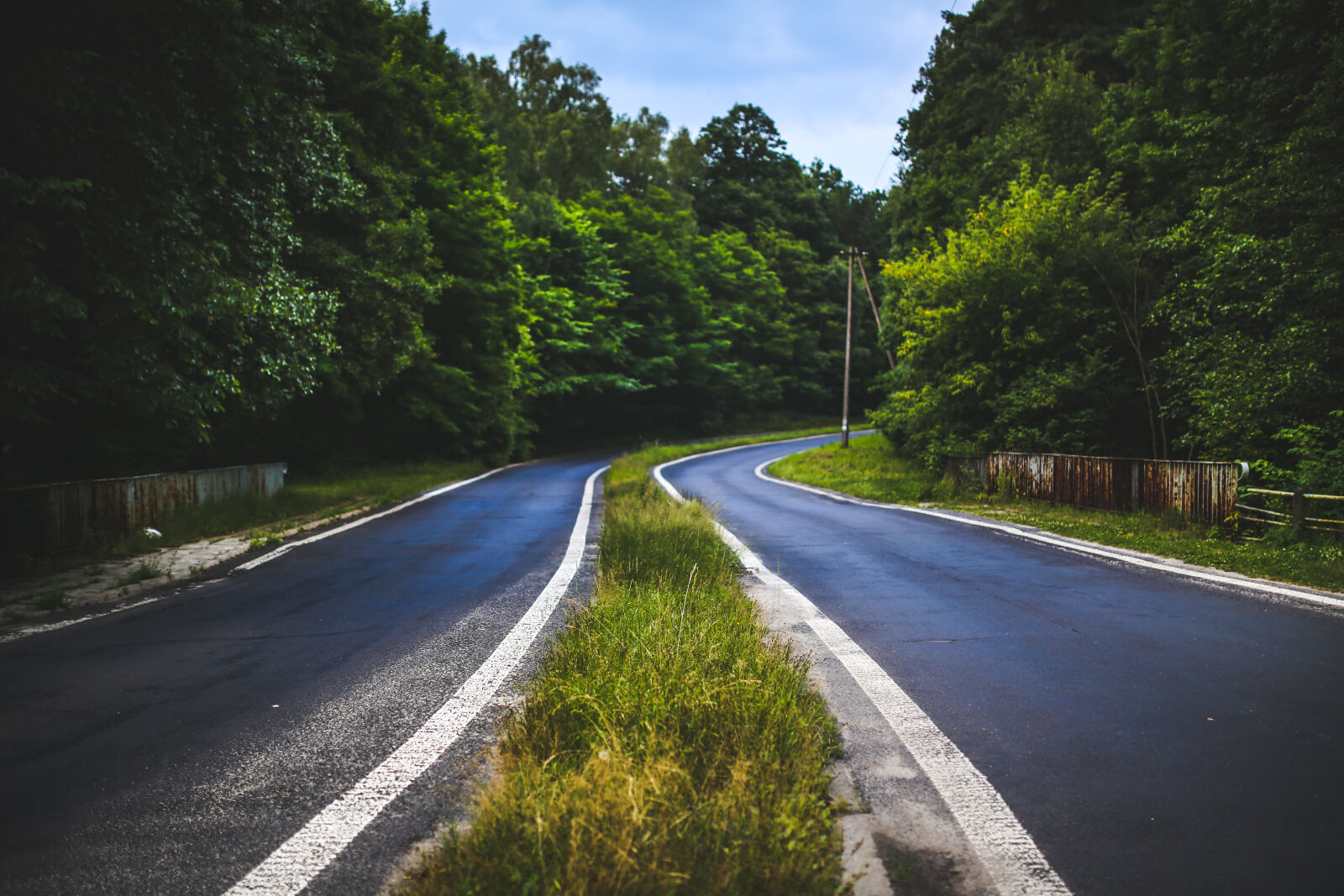Canon EOS 6D + Sigma 35mm F1.4 DG HSM Art sample photo. The, forest, road photography