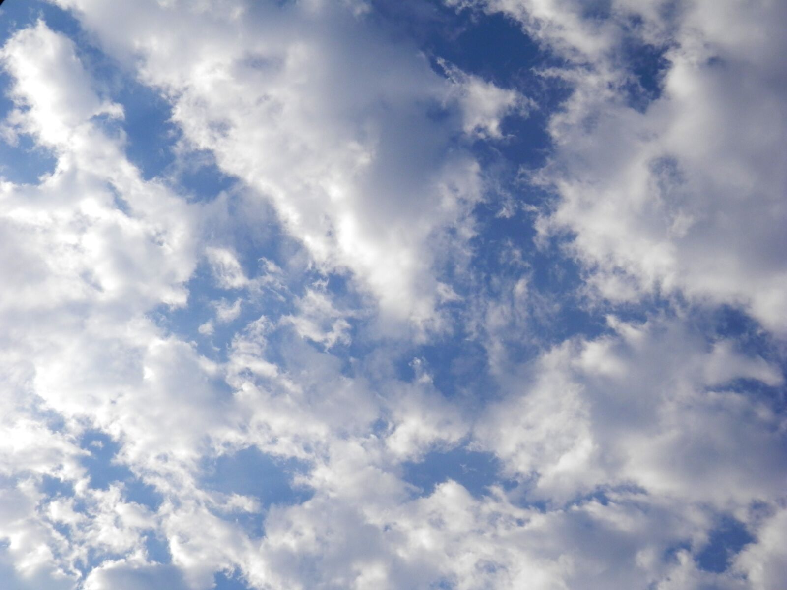 Olympus SZ-14 sample photo. Dense clouds, overcast sky photography