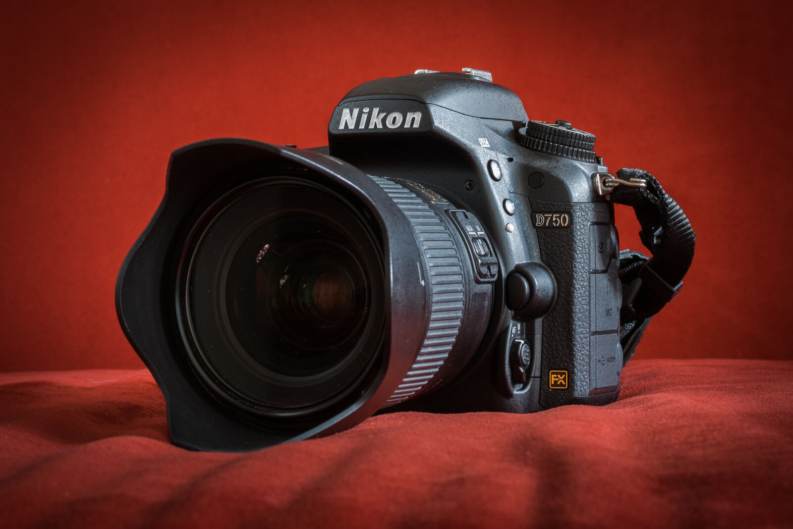 Nikon D810 sample photo. Nikon d750 photography