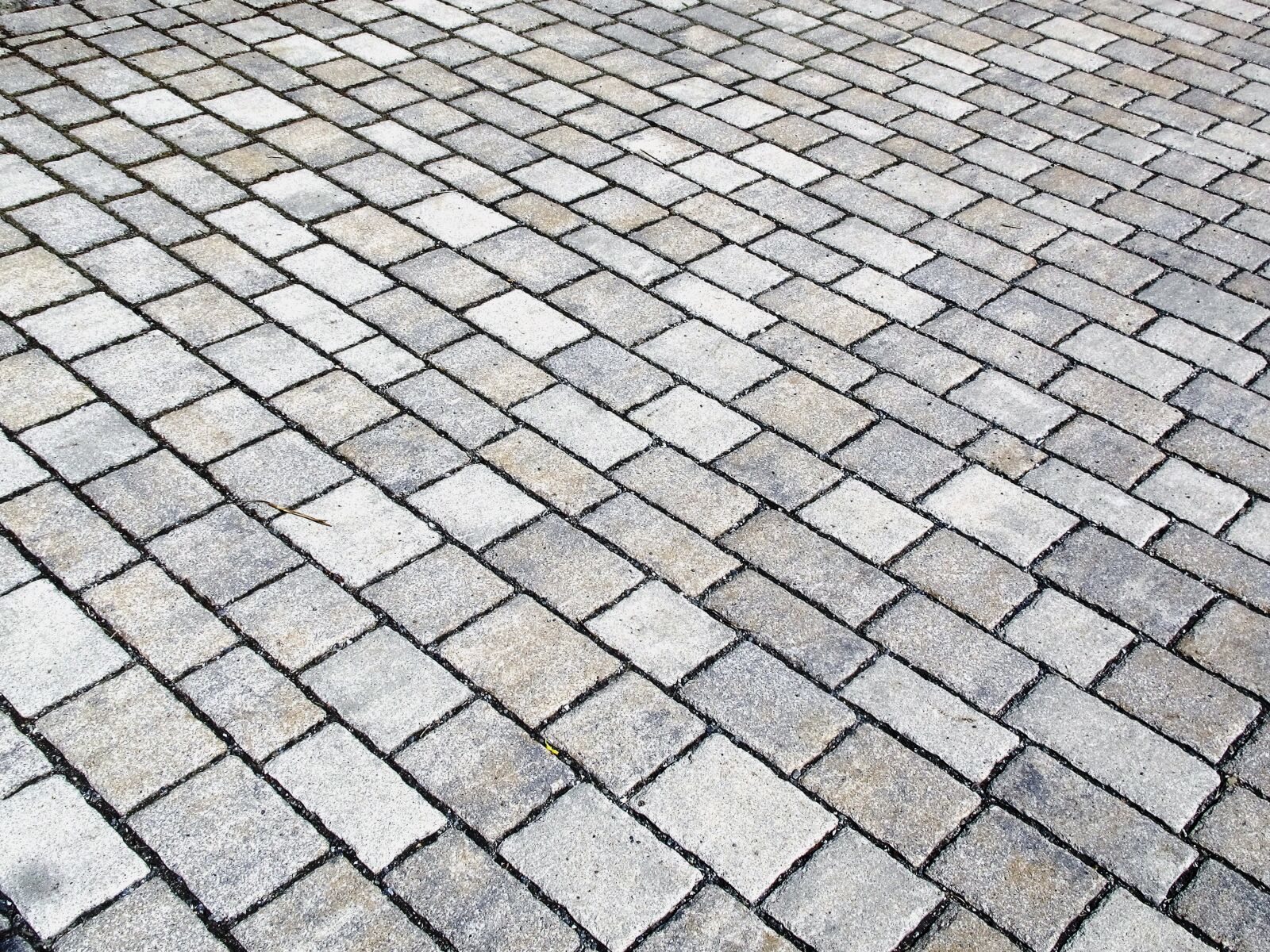 Canon PowerShot G12 sample photo. Texture, paving stones, patch photography