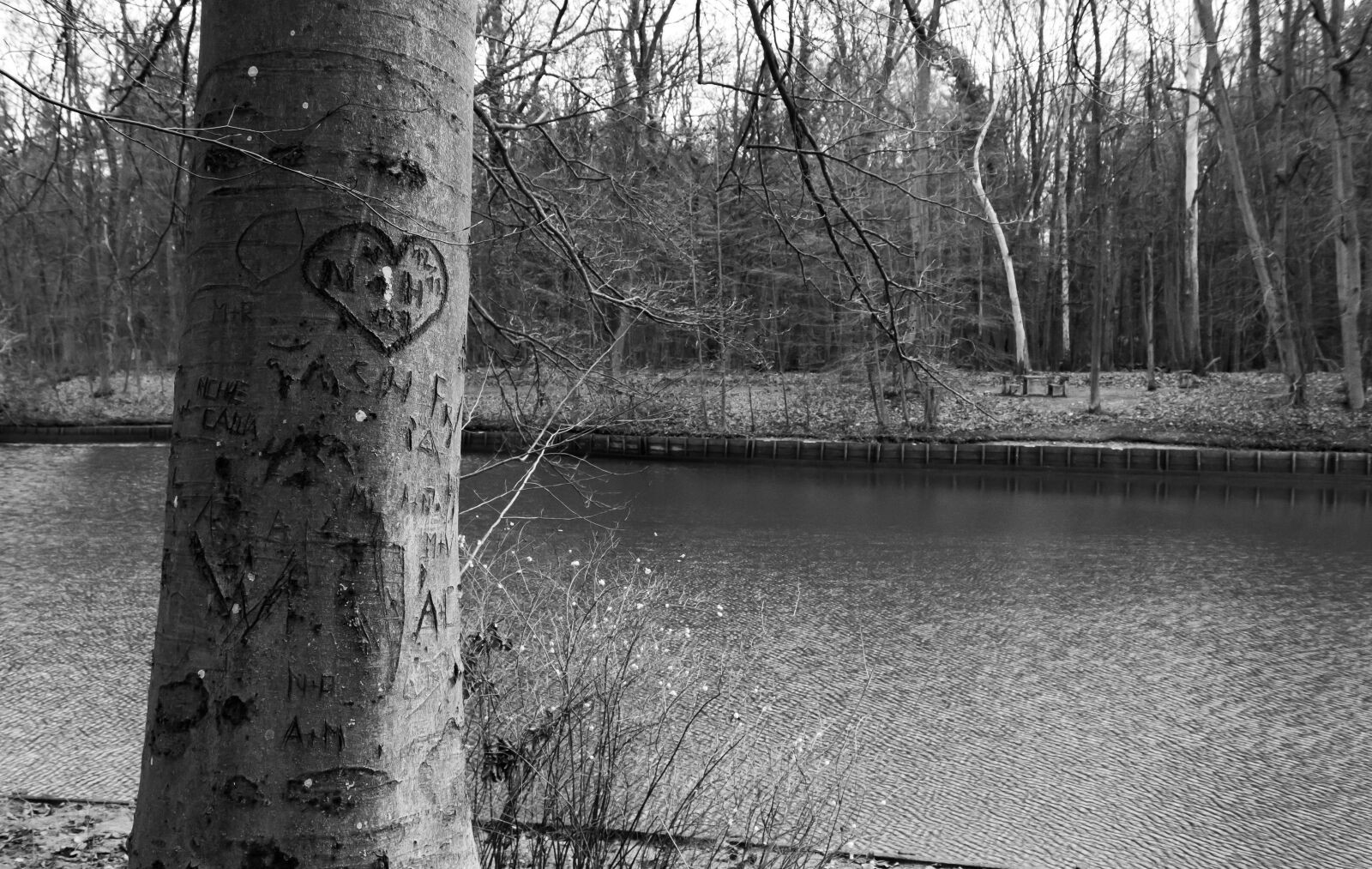 Canon EOS 1200D (EOS Rebel T5 / EOS Kiss X70 / EOS Hi) sample photo. Trees, lake, heart photography