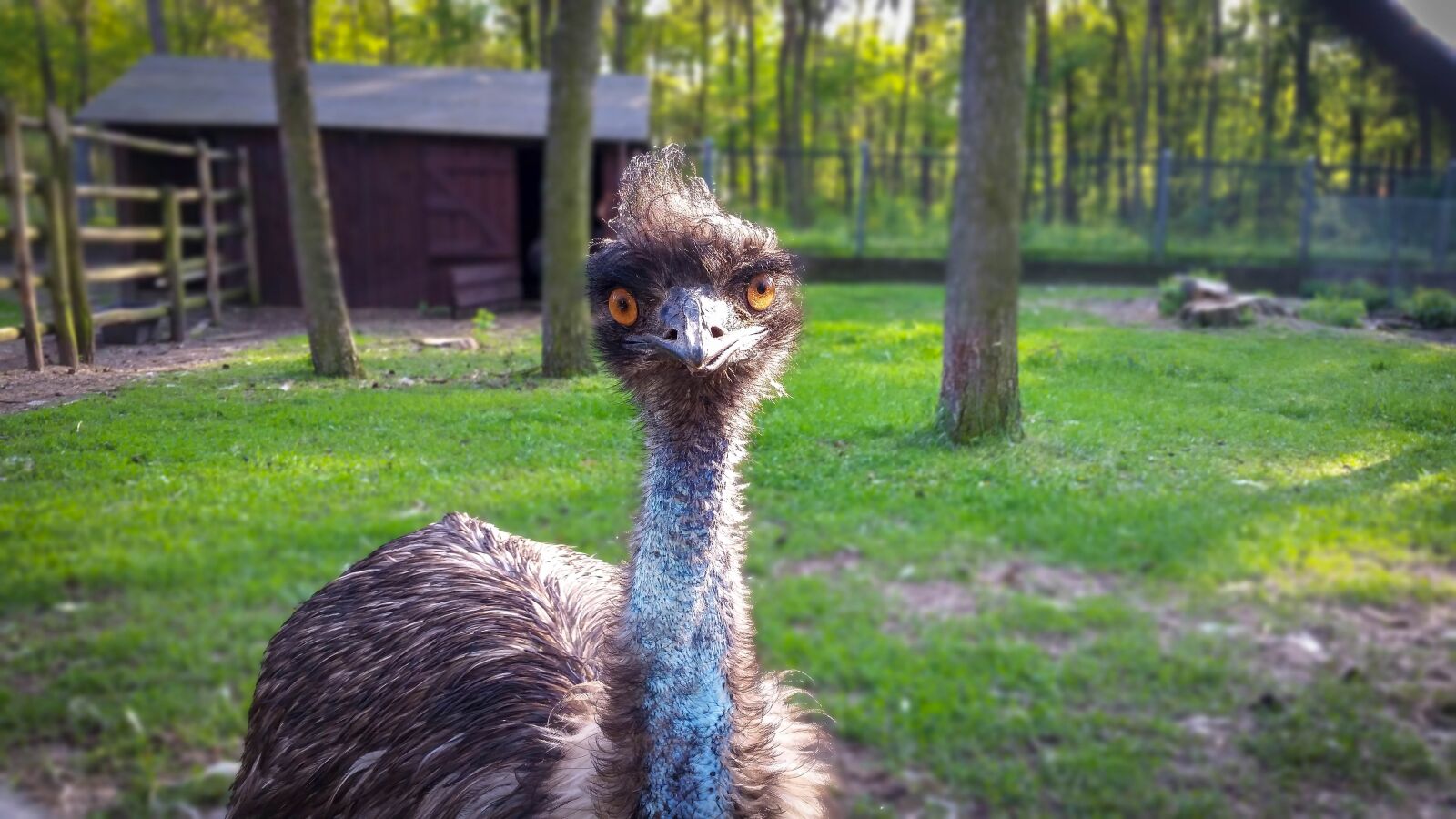 Samsung Galaxy S5 sample photo. Nature, animals, at the photography