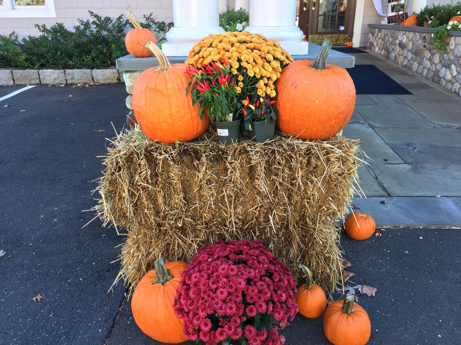 iPhone 6 Plus back camera 4.15mm f/2.2 sample photo. Halloween, pumpkins, hay photography