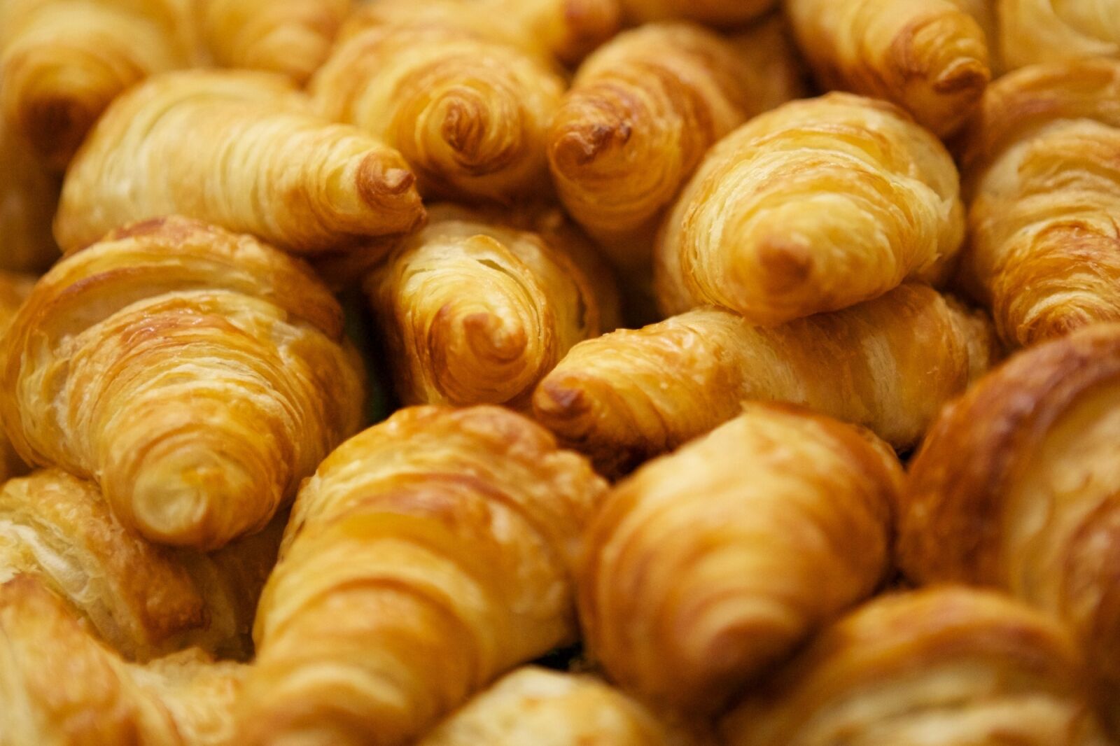 Canon EF 24-70mm F2.8L USM sample photo. Croissants, breakfast, baked goods photography