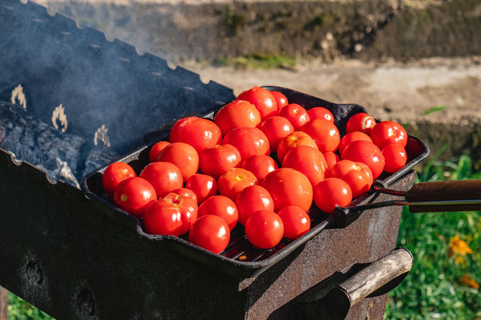 Canon EF-S 18-55mm F4-5.6 IS STM sample photo. Tomatoes, grill, vegetables photography