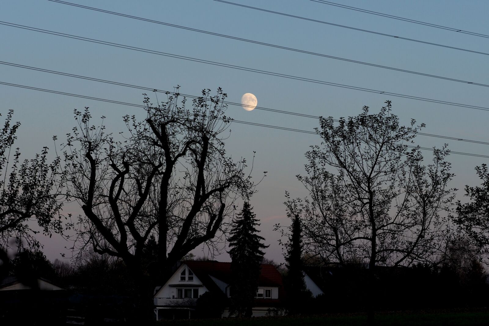 Olympus OM-D E-M1 Mark II + Olympus M.Zuiko Digital ED 40-150mm F2.8 Pro sample photo. Moon, power line, tree photography
