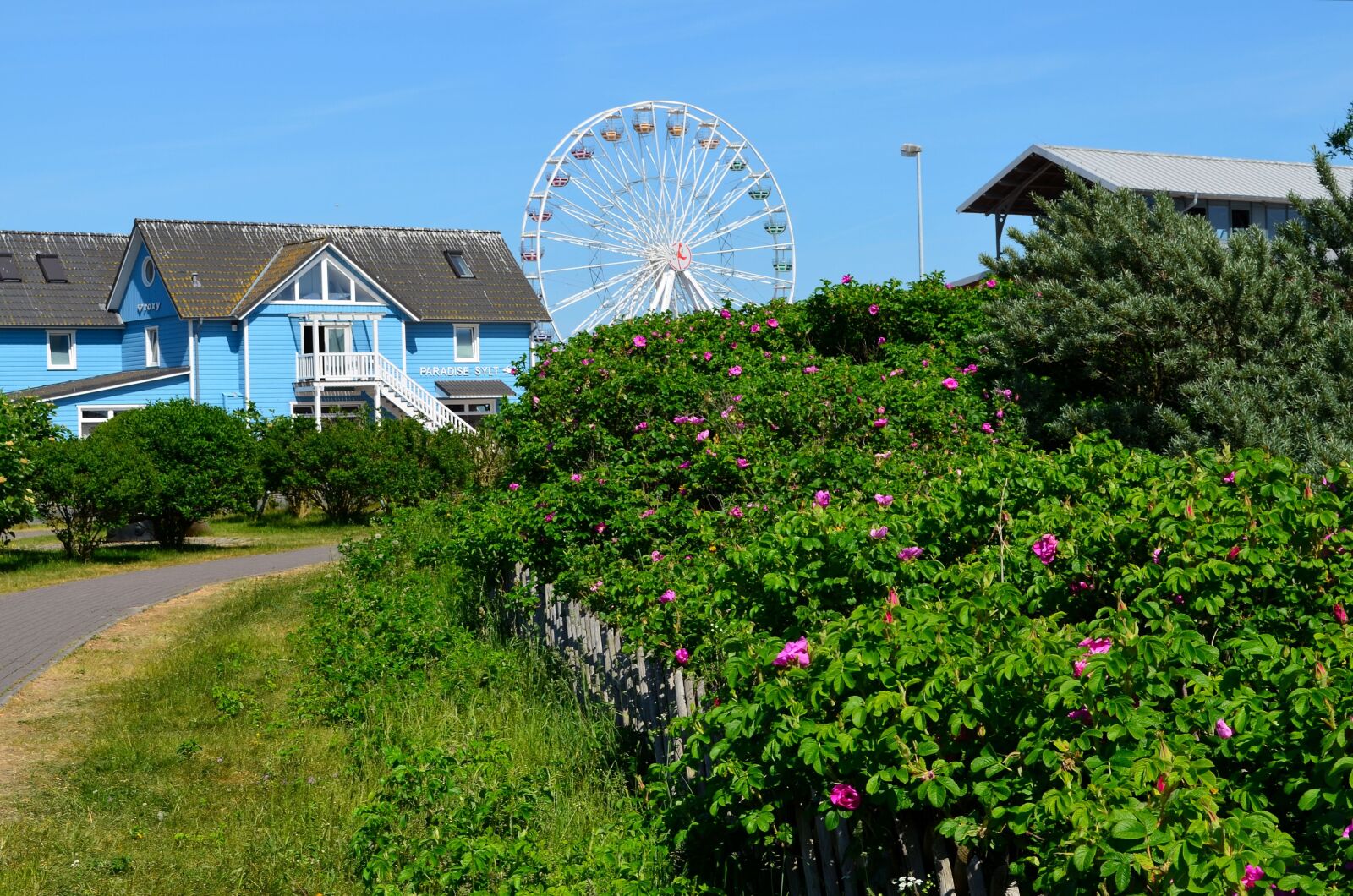 Nikon D5100 sample photo. Sylt, list, ferris wheel photography