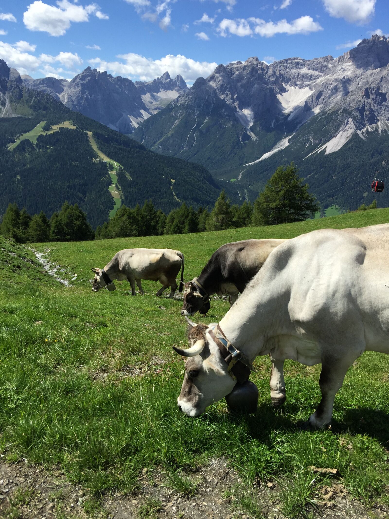 iPhone 6 Plus back camera 4.15mm f/2.2 sample photo. Mountains, alpine, panorama photography