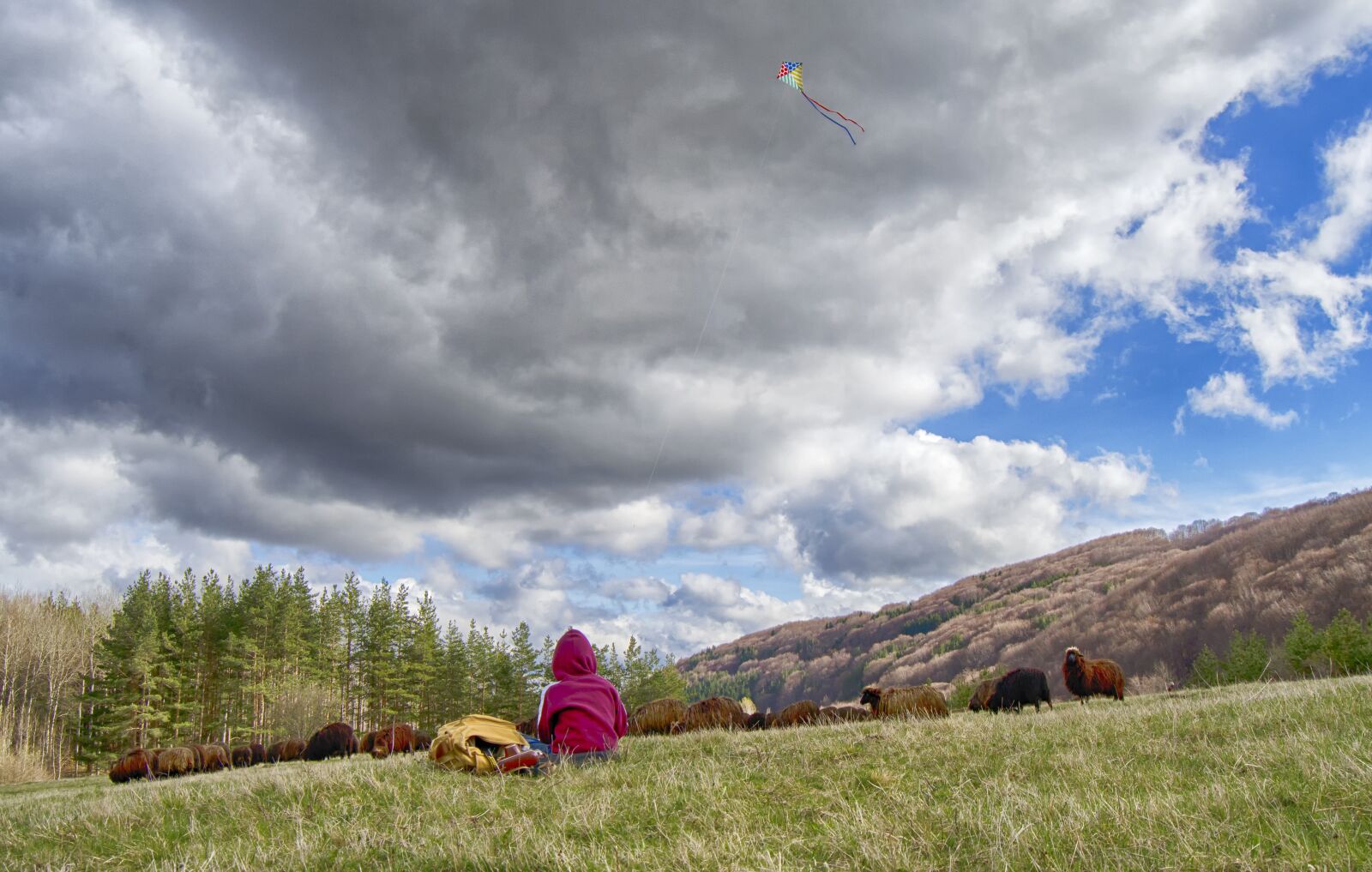 Nikon D5100 sample photo. Boy, kite, stormy photography