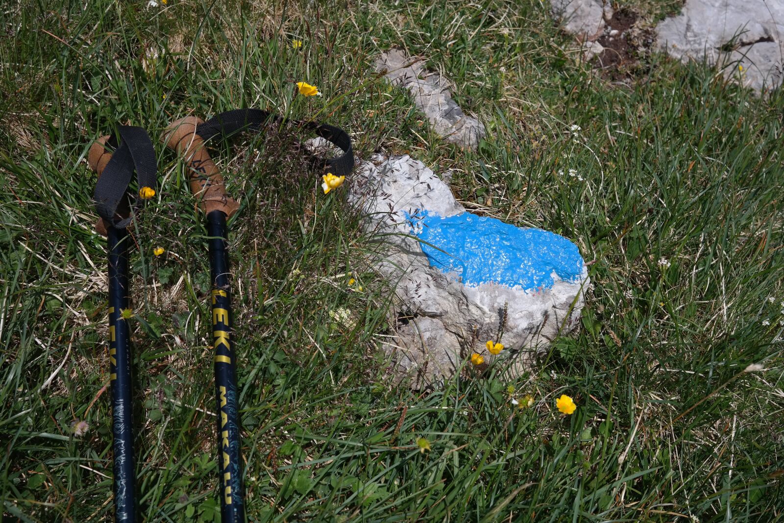 Samsung NX300 sample photo. Hiking poles, signpost, hiking photography