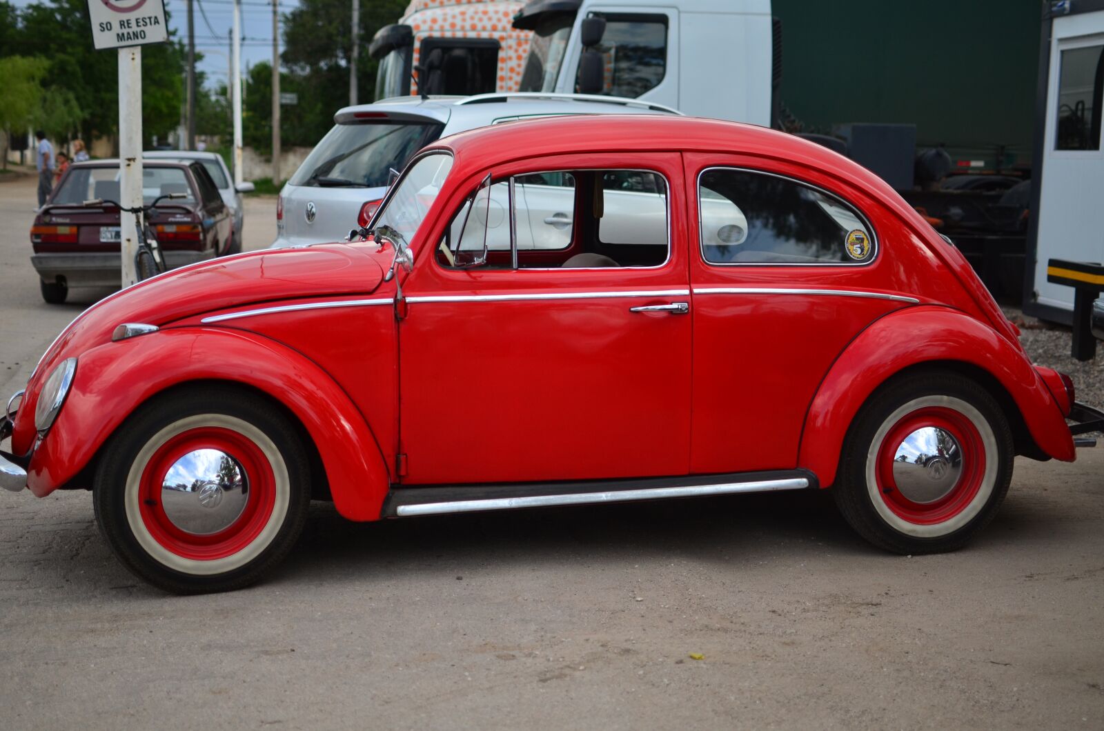 Nikon D5100 sample photo. The, beetle, the beetle photography