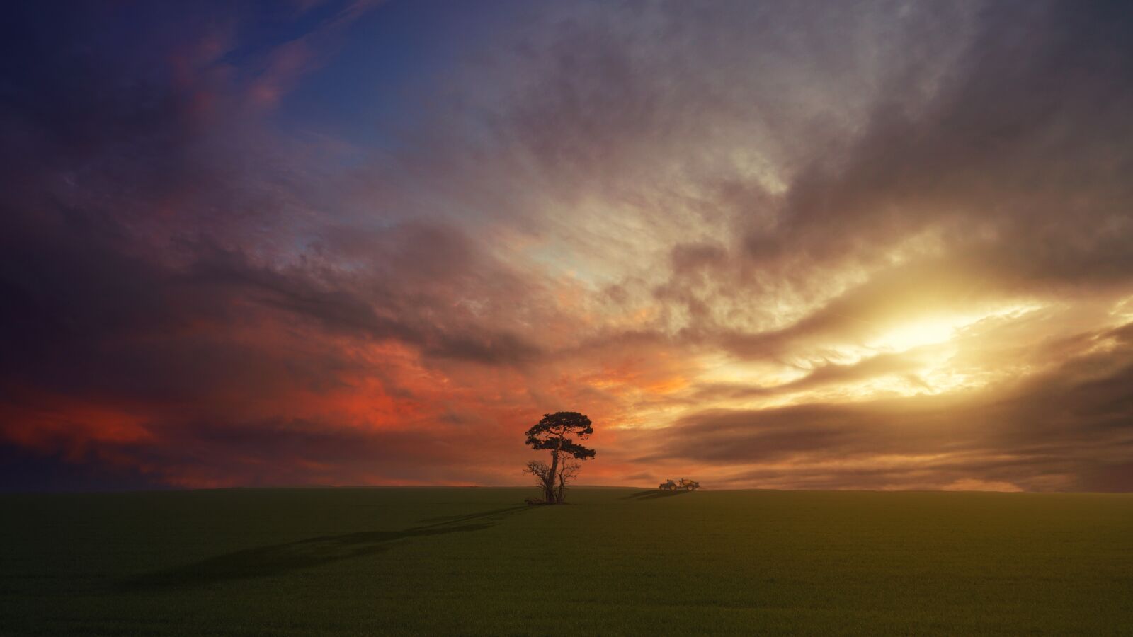 Sony 28-75mm F2.8 SAM sample photo. Sunset, tree, meadow photography