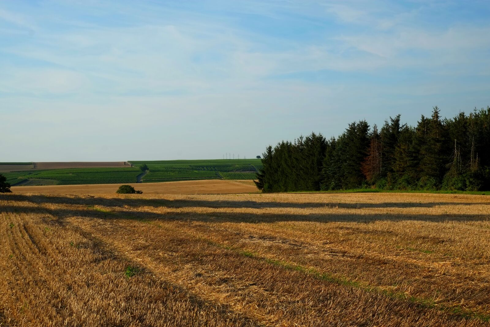 Fujifilm X-E1 sample photo. Field, landscape, nature photography