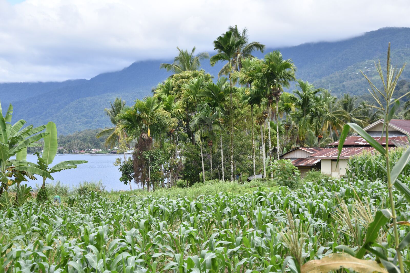 Nikon D3400 sample photo. Nature, mountain, lake photography