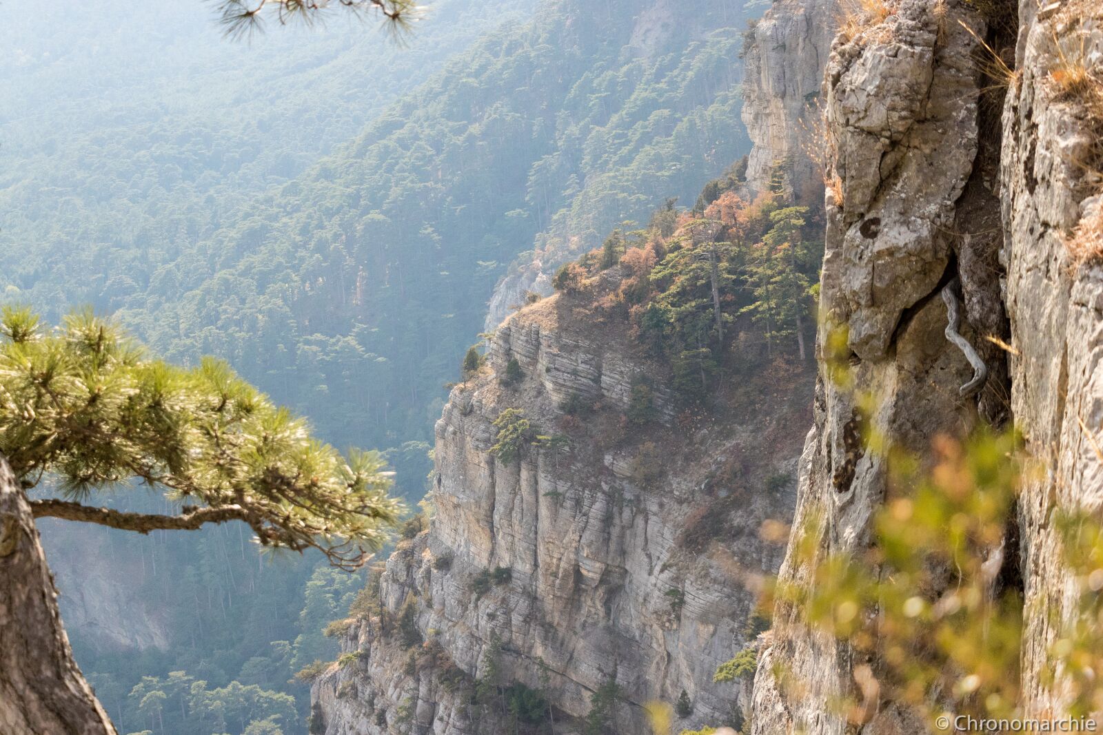 Canon EF-S 18-135mm F3.5-5.6 IS USM sample photo. Crimea, ai-petri, mountain photography