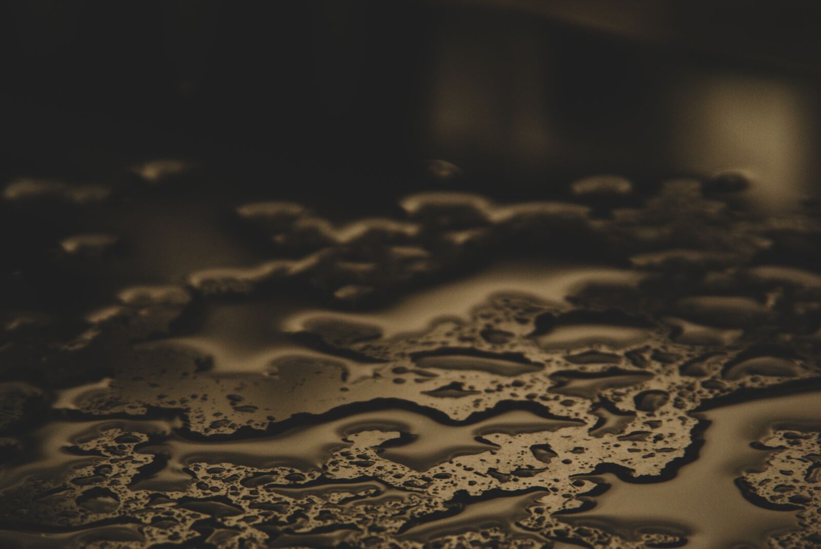Sony Alpha DSLR-A200 sample photo. Water, rain, wet photography